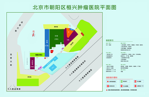 日韩大透逼北京市朝阳区桓兴肿瘤医院平面图